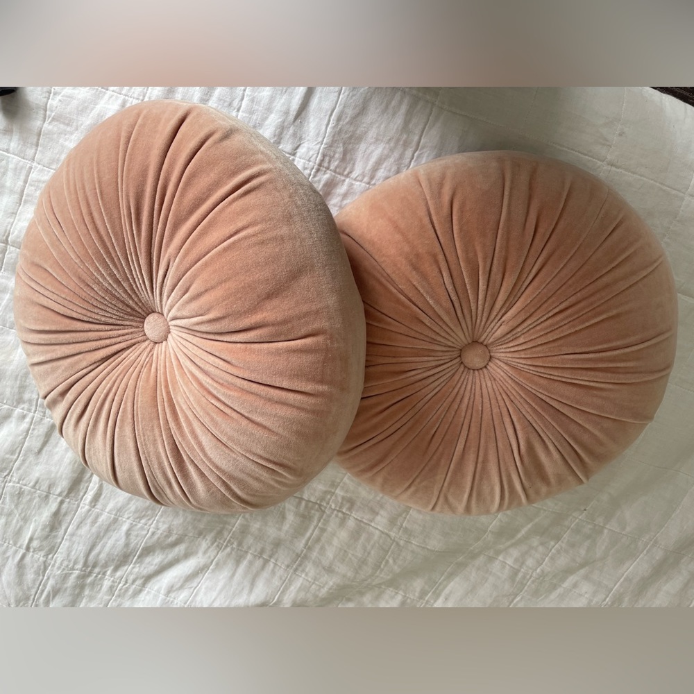 Great condition set of two throw pillows. Round, velvet material. Blush pink.
